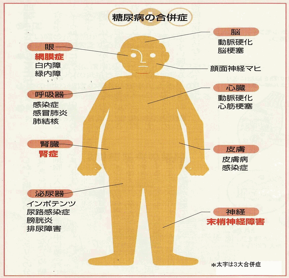 勃起不全の発生