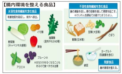 便秘とは 健康コラム 汐田総合病院