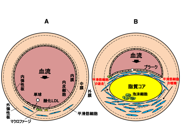 8-診療ウォッチング資料イラスト